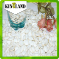 Pure Natural organic snow white and shine skin pumpkin seeds